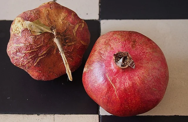மாதுளை