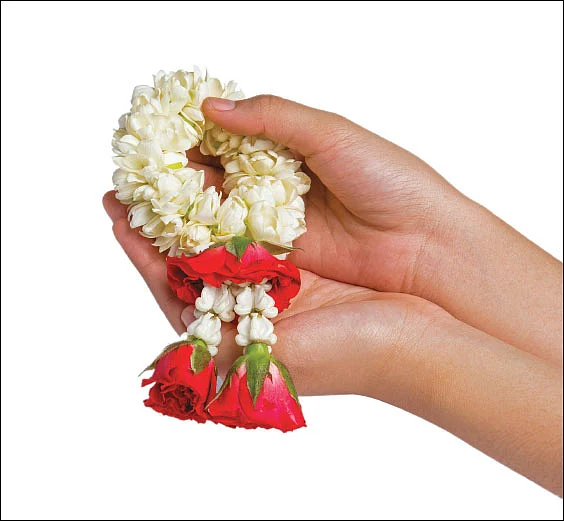 கேள்வி - பதில்: மகான்களின் ஜாதகத்தை வழிபடலாமா?