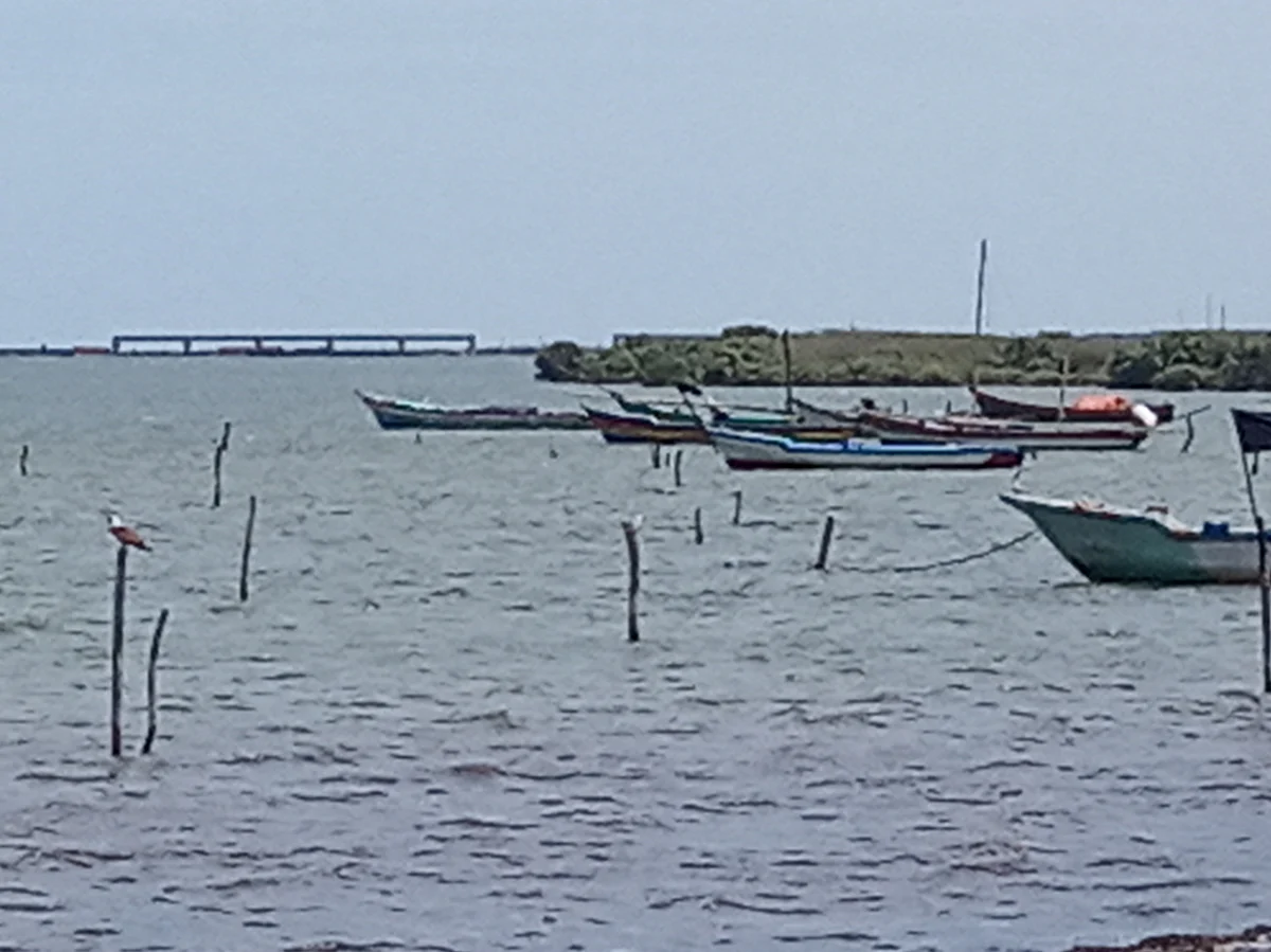 `கடல்மீது பாலம் கட்ட எதிர்ப்பு' - சுதந்திர நாளில் கறுப்புக்கொடி ஏற்றிய கிராம மக்கள்