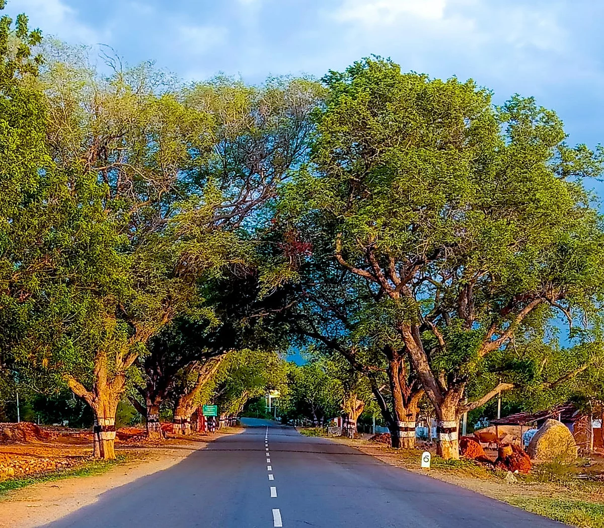 அரூர் சாலை