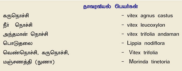 நல்மருந்து 2.0 - வாத நோயைத் தீர்க்கும் நொச்சி... பொடுகு நீக்கும் பொடுதலை!