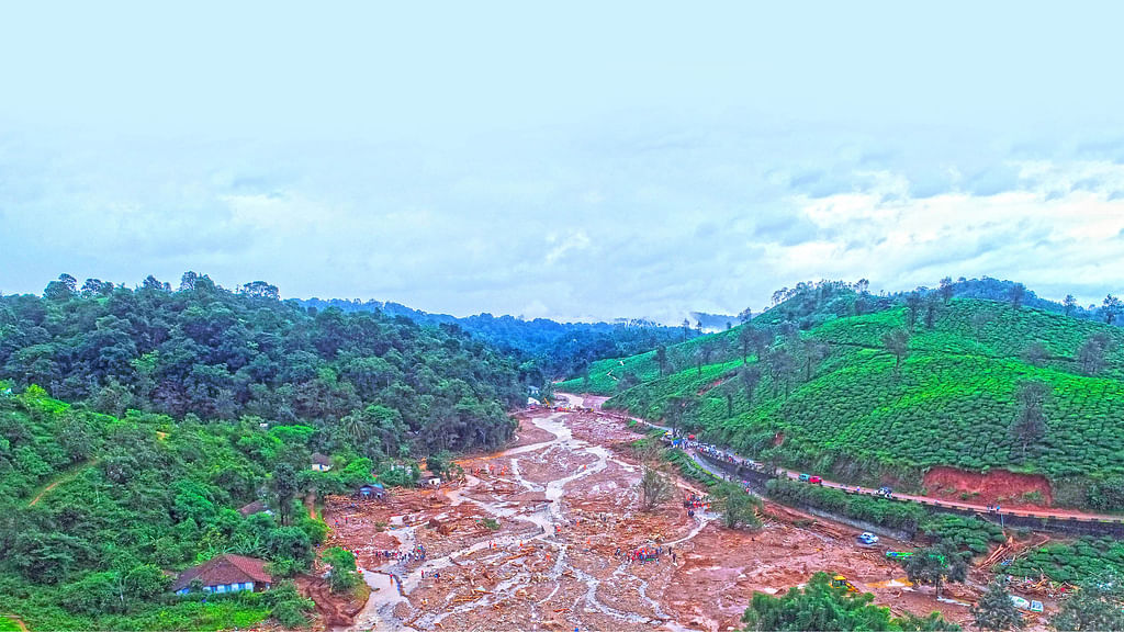 மேற்குத் தொடர்ச்சி மலை