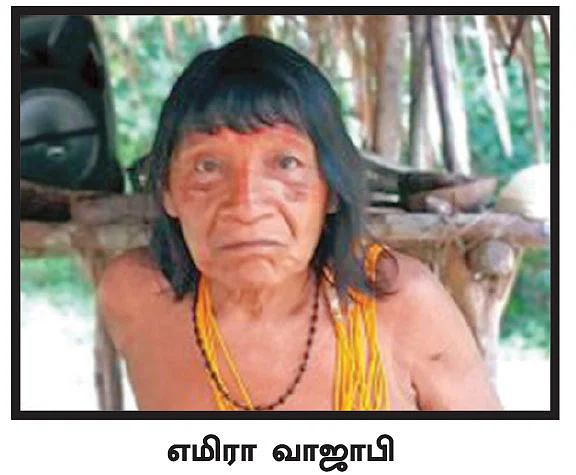 காடு அழிப்பு... கனிமவளக் கொள்ளை... பழங்குடிகளை விரட்டும் பிரேசில்!