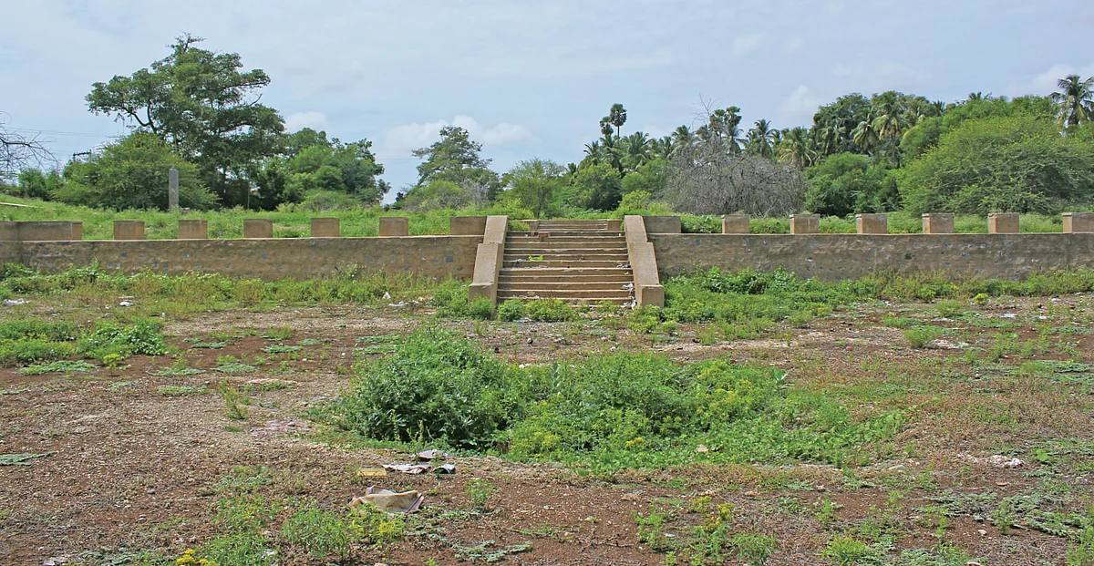 நாரதர் உலா: அவிநாசி தாமரைக்குளம்...