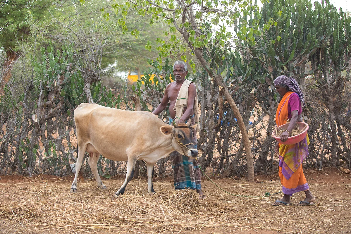 Kaaliappan - Paapayi