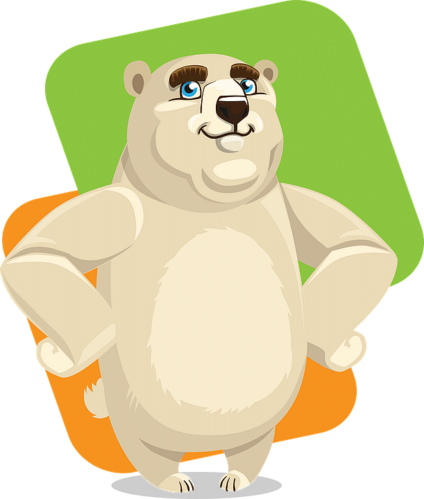 bear
