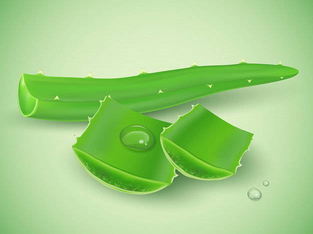 Aloe vera