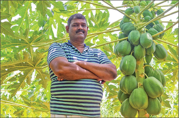 ஜீரோ பட்ஜெட் இயற்கை வேளாண்மை எதிர்க்கும் விஞ்ஞானிகள்... ஆதரிக்கும் விவசாயிகள்!