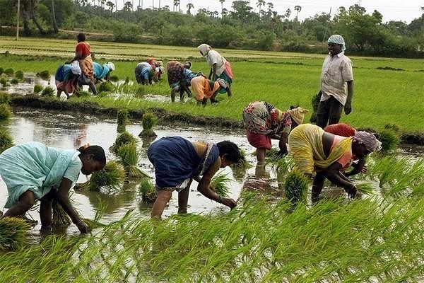 Agriculture