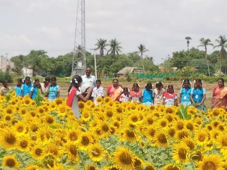 சூரியகாந்தி வயலில் பாடம்! - ஆசிரியர்களைக் கொண்டாடிய மாணவர்கள்