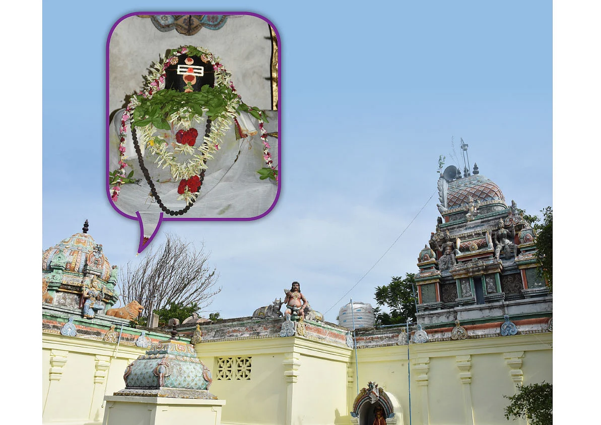 திருவருள் திருவுலா: பஞ்ச கடம்பத் தலங்கள்!