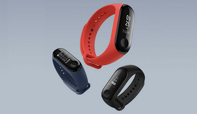 Fitness Bands