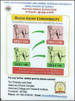 அடையாள அட்டை