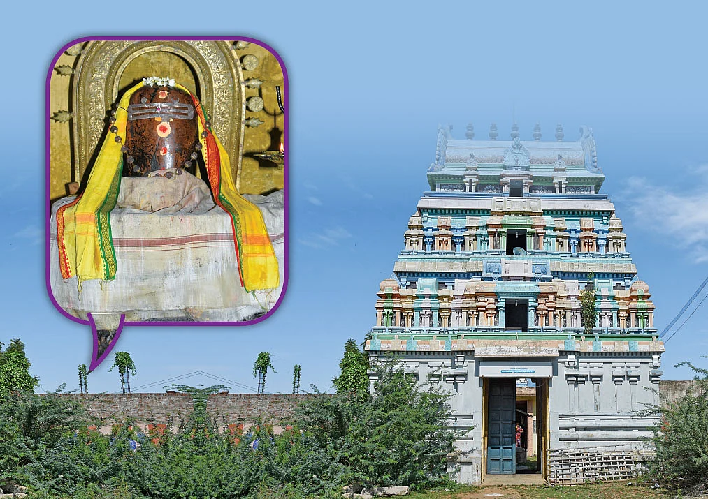 திருவருள் திருவுலா: பஞ்ச கடம்பத் தலங்கள்!
