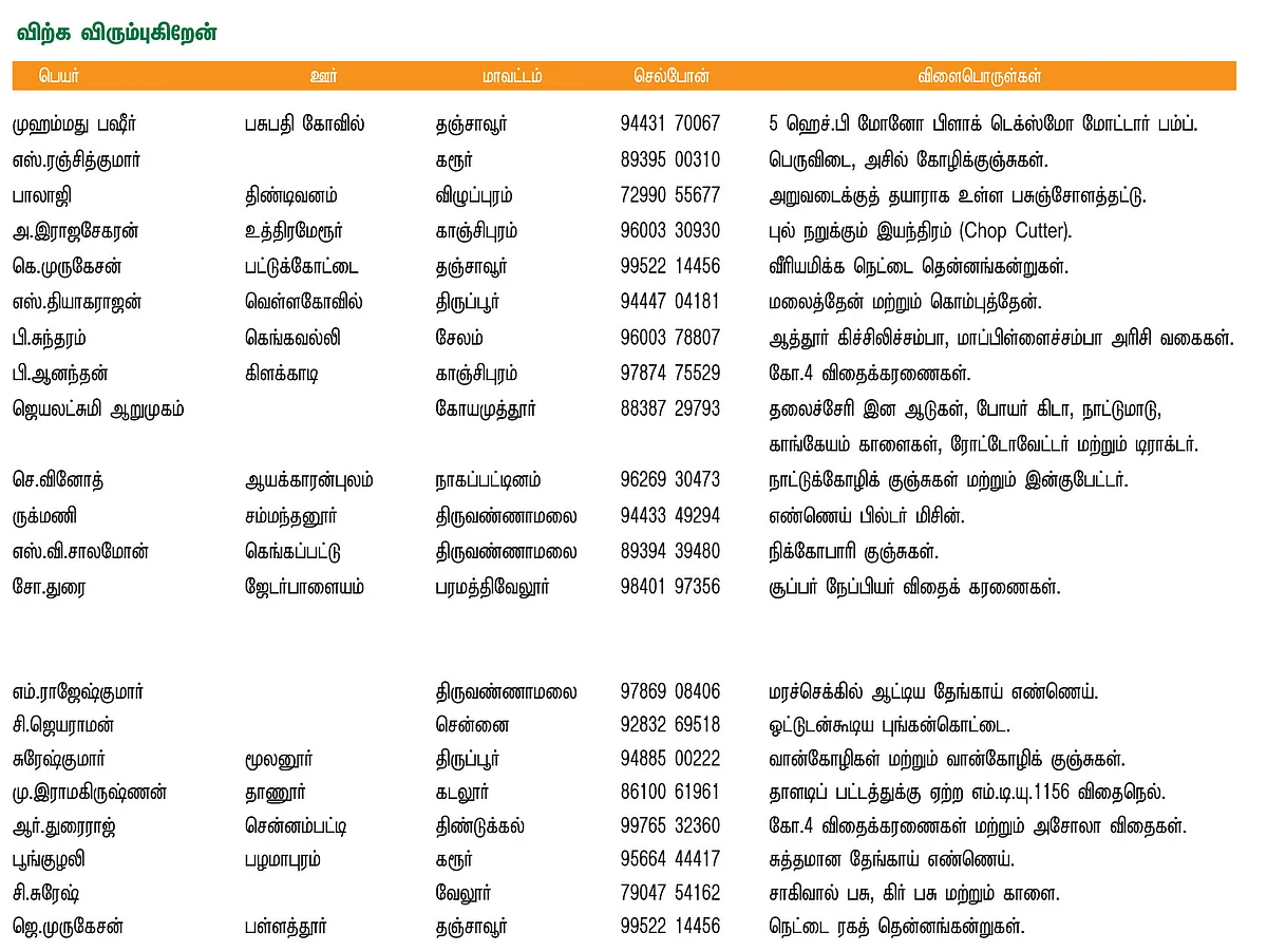 பசுமை சந்தை
