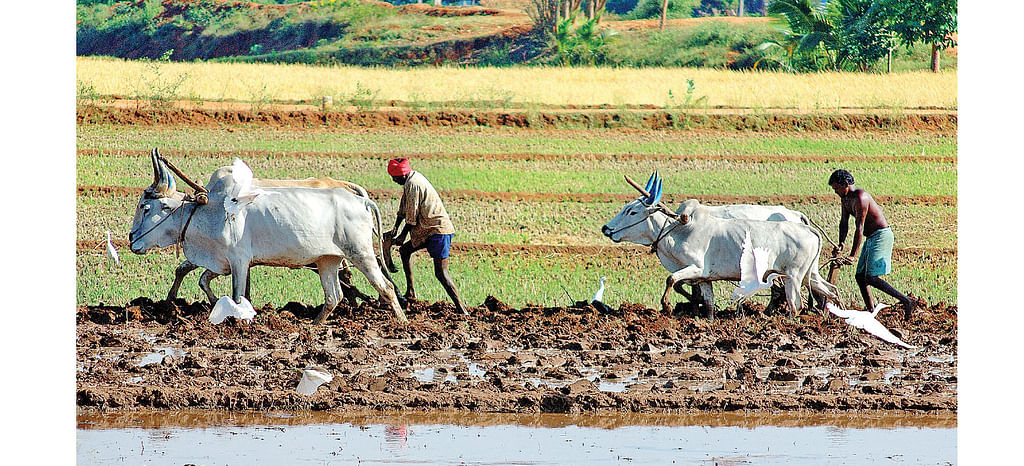 Kisan Pension