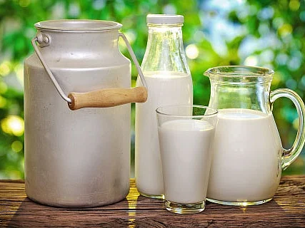 அசைவமும் பாலும் ஆரோக்கியமில்லாத உணவுகளா? பரவும் வாட்ஸ்அப் தகவலும் உண்மைத் தன்மையும்!
