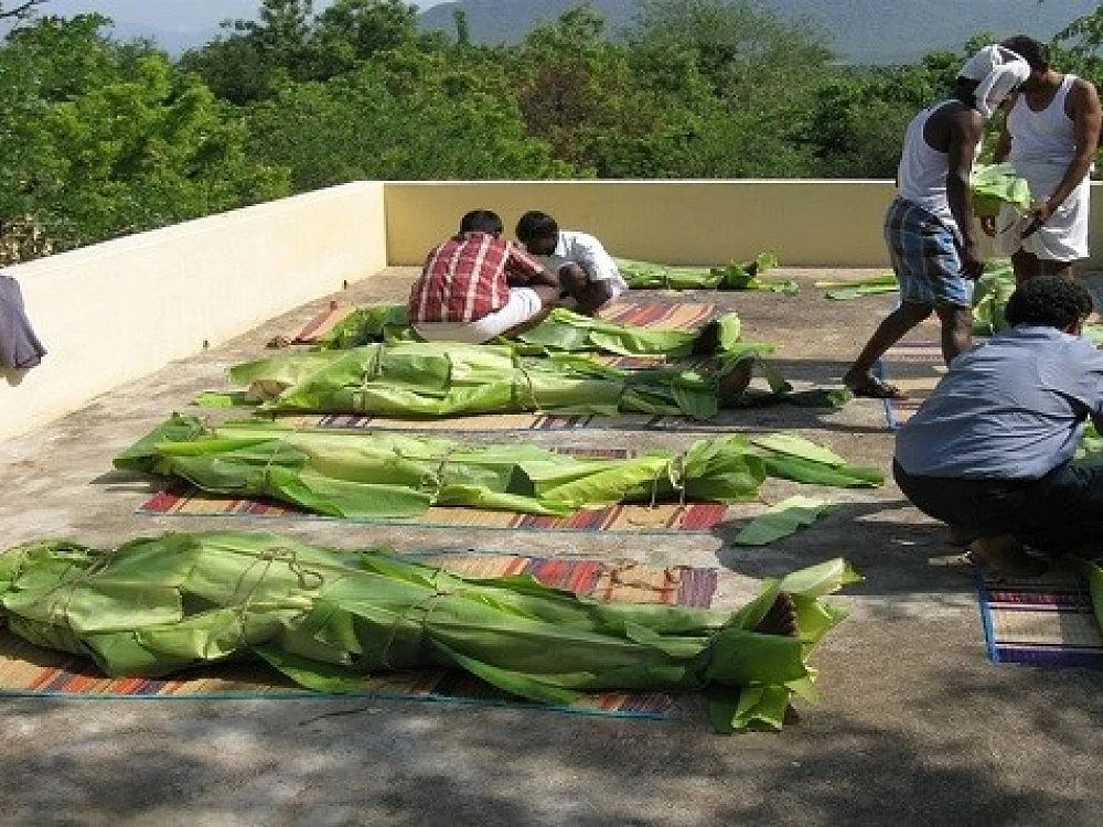 சூரியக்குளியல், மண் குளியல், நீராவிக் குளியல், வாழையிலைக் குளியல்... நலம் தரும் குளியல் முறைகள்!