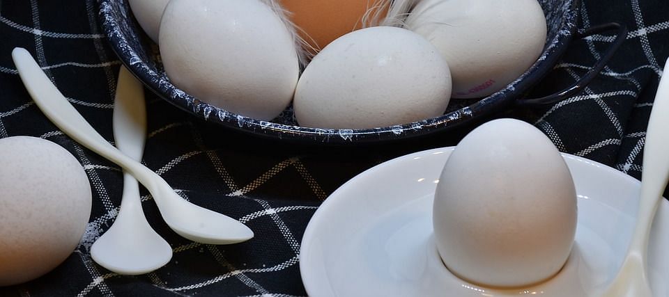 Egg