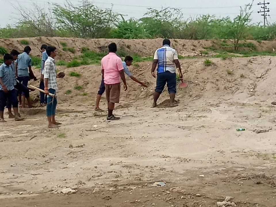 Young people sow palm seeds