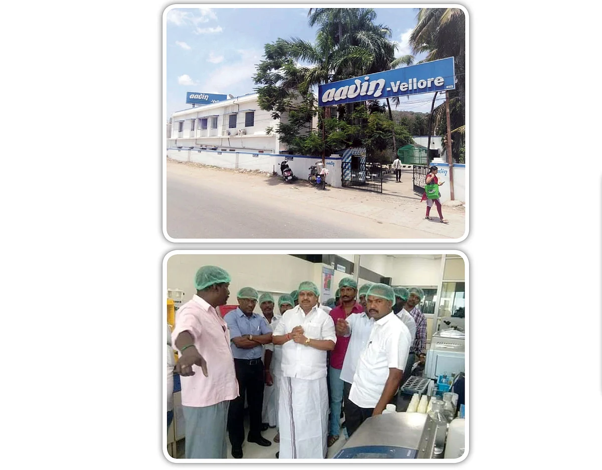 “அக்ரிக்கும் ஆவினுக்கும் என்ன சம்பந்தம்?”