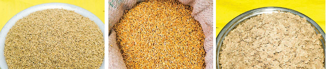 கிச்சிலிச் சம்பா, காட்டுயானம், அவல்