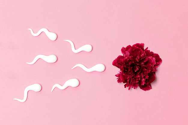 Sperm Donation (Representational Image)