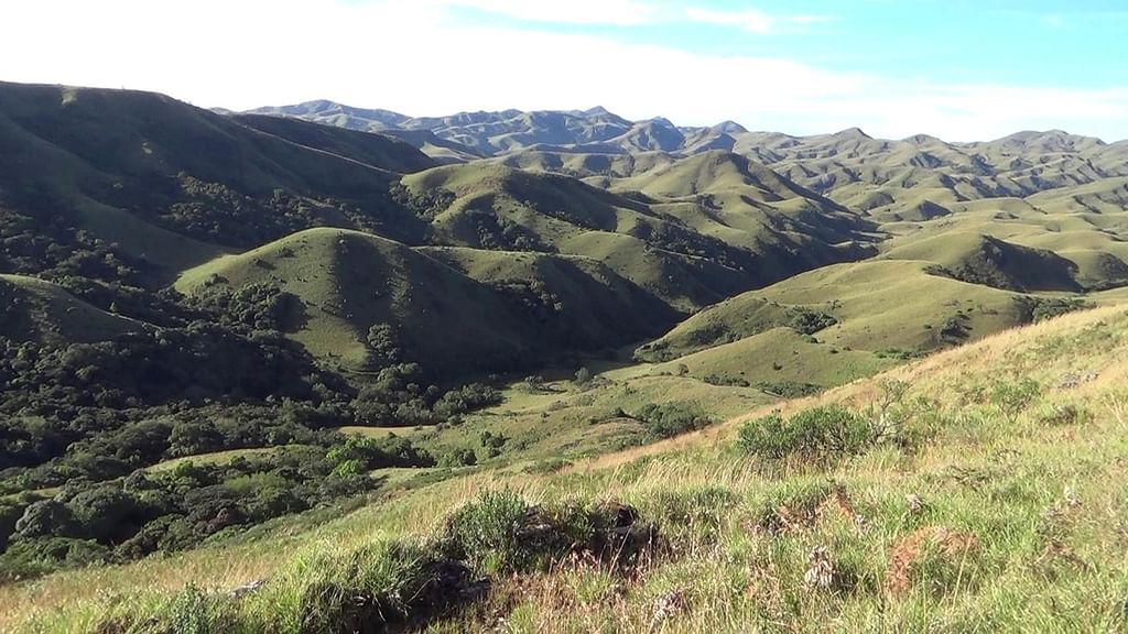 Mukurthi National Park