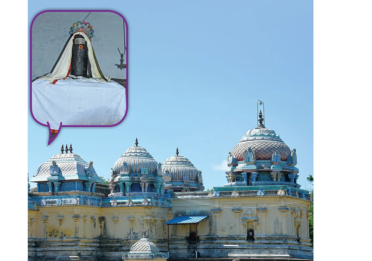 திருவருள் திருவுலா: பஞ்ச கடம்பத் தலங்கள்!