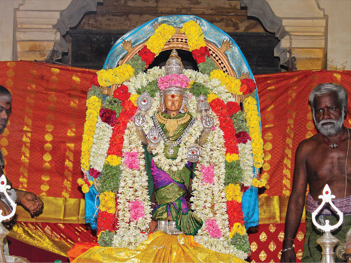 'சிவபெருமான் உவந்தேற்கும் கோமுகம்' - திருக்கடையூர் கும்பாபிஷேகத்தில் பங்கேற்பு