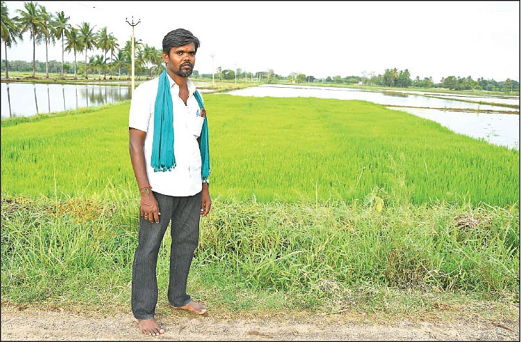 ஜீரோ பட்ஜெட் இயற்கை வேளாண்மை எதிர்க்கும் விஞ்ஞானிகள்... ஆதரிக்கும் விவசாயிகள்!