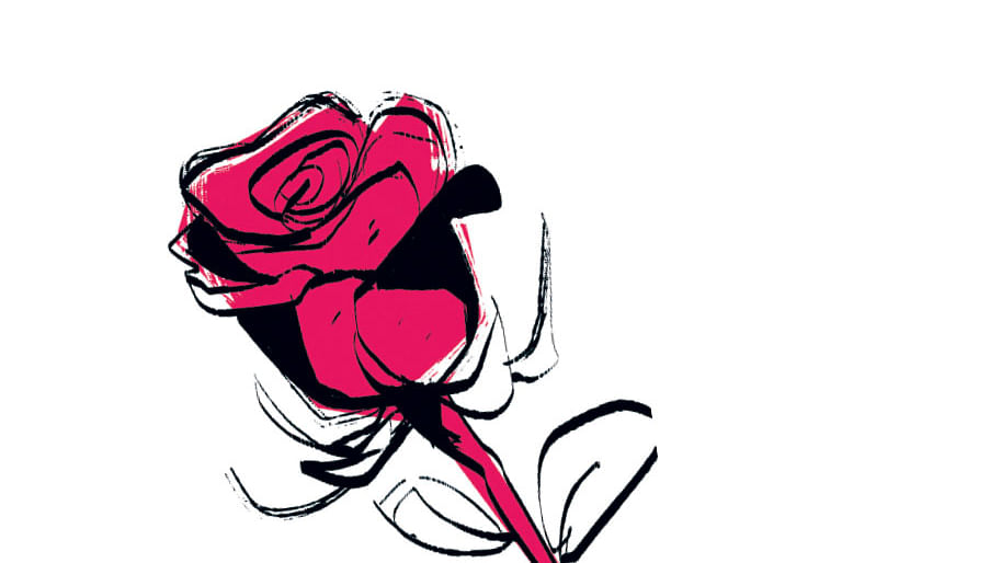 rose