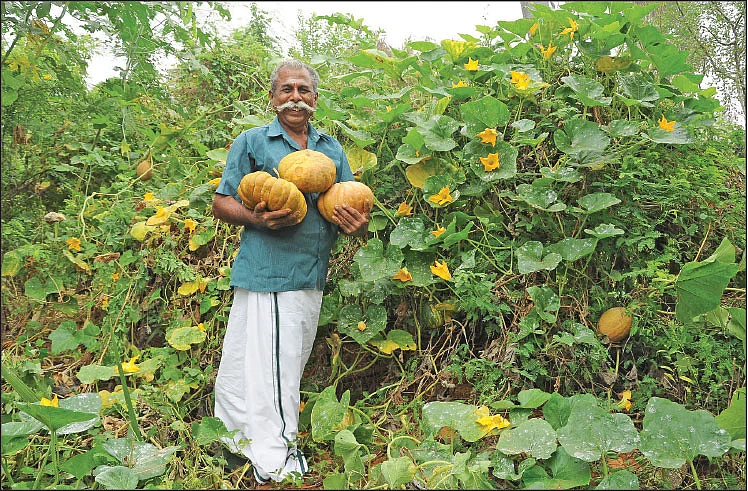 ஜீரோ பட்ஜெட் இயற்கை வேளாண்மை எதிர்க்கும் விஞ்ஞானிகள்... ஆதரிக்கும் விவசாயிகள்!
