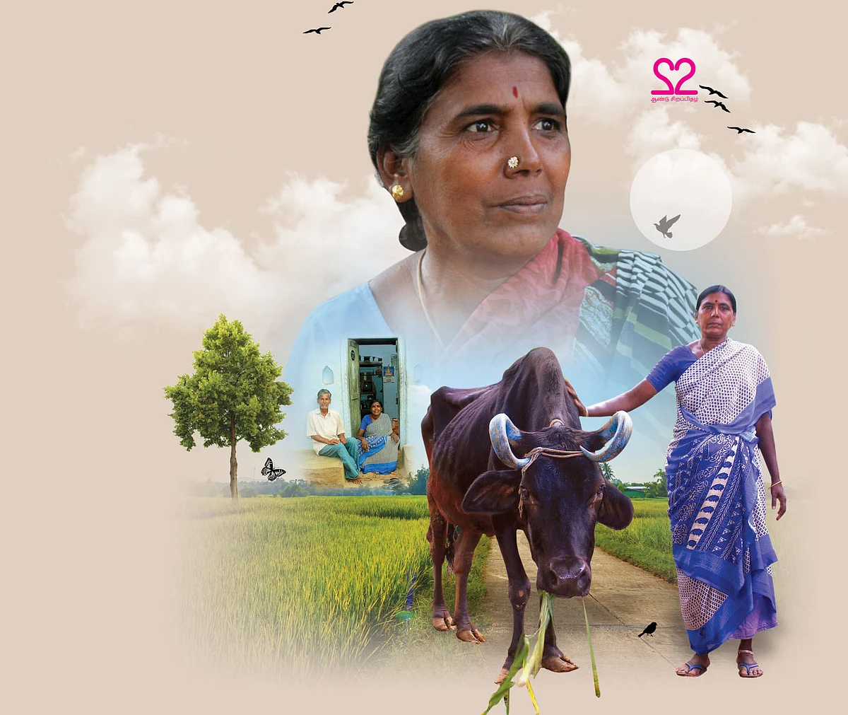 அம்மாயிக்கும் நான்தான் அம்மா!
