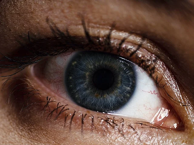 Eyes (Representational Image)