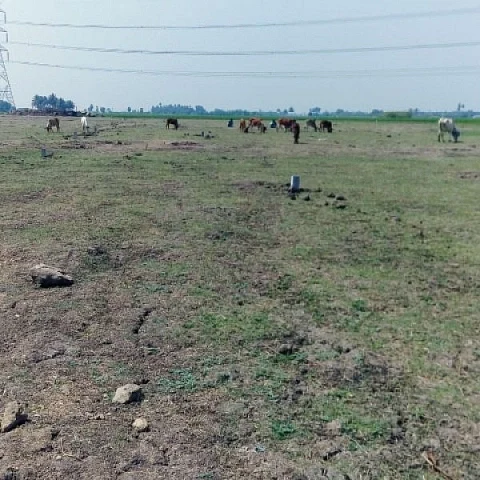 Land