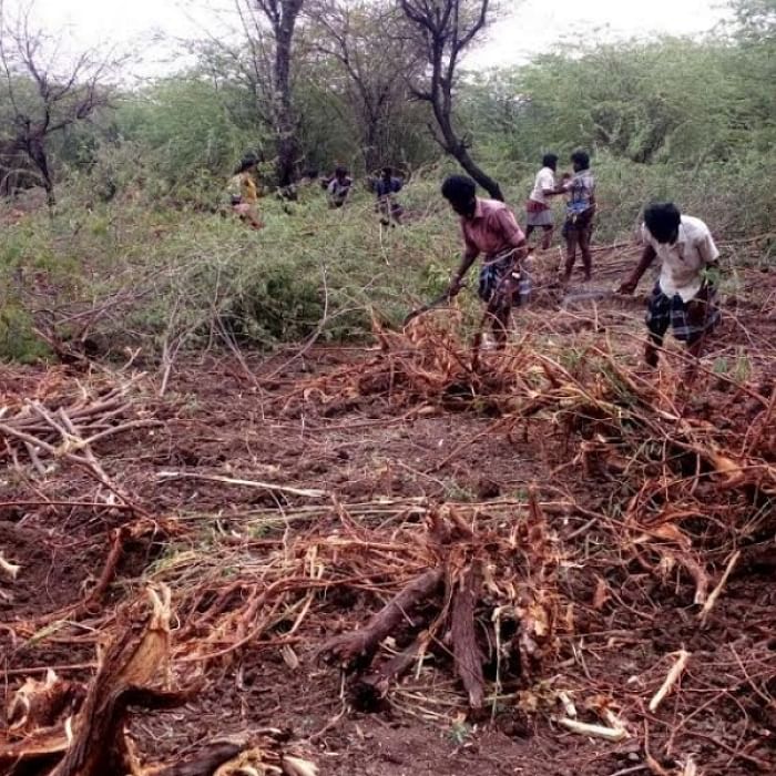 நீர்நிலைகளை தூர்வாரும் இளைஞர்கள்
