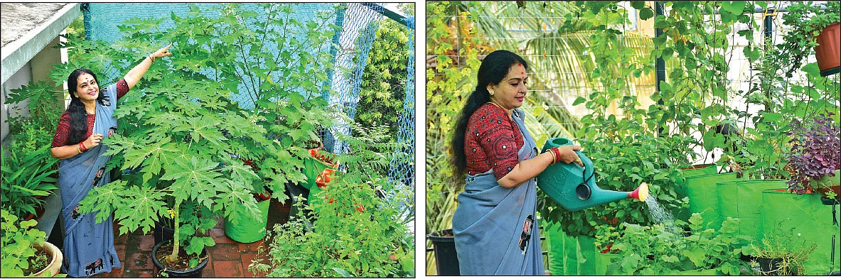 தண்ணீர் ஊற்றும் பணியில்