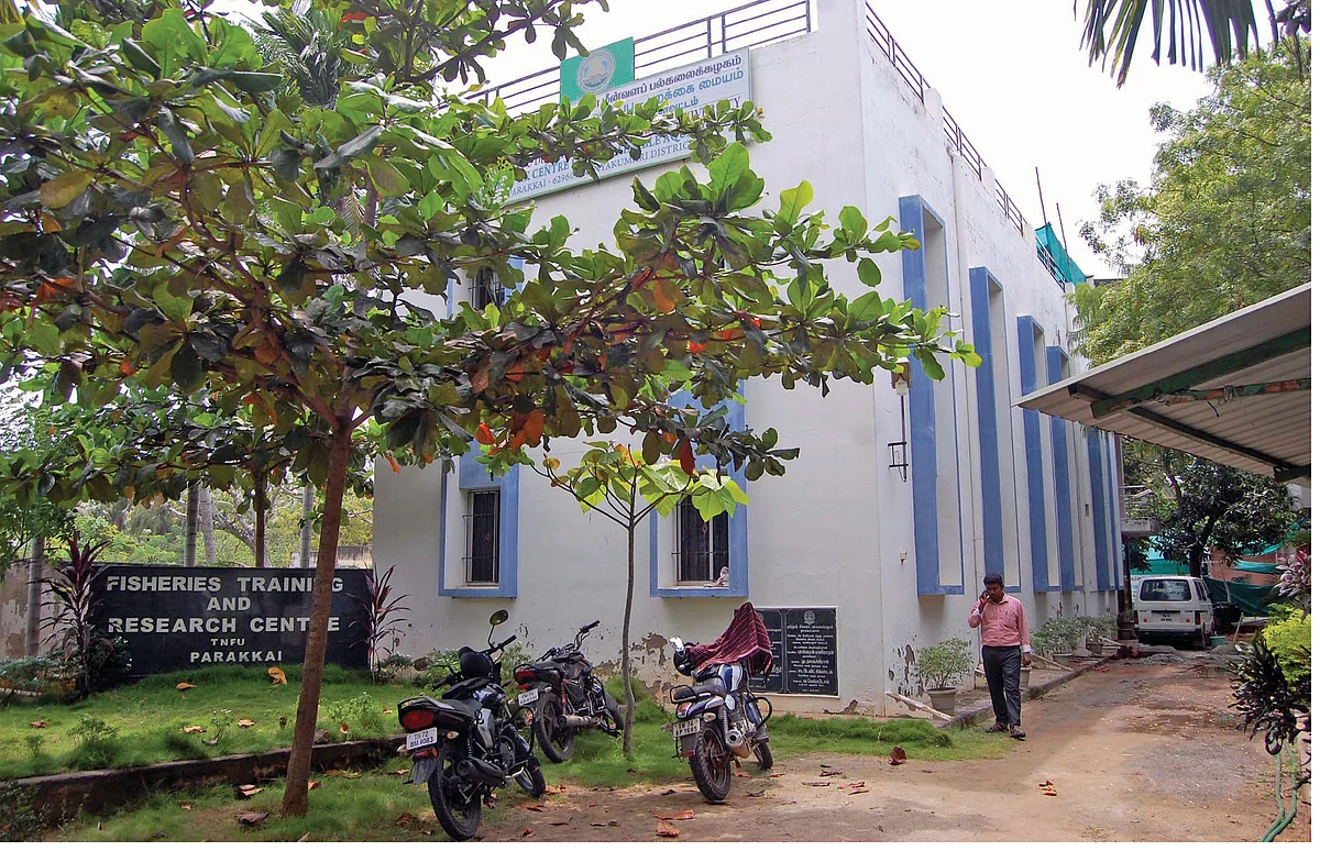 மீன்வளக் கல்லூரி