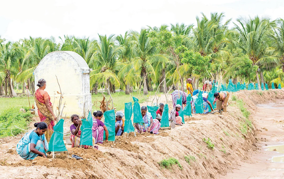 தண்ணீர் கேன், குளுக்கோஸ் பாட்டிலில் பாசனம்! - நீரைச் சேமிக்கும் புதிய முயற்சி