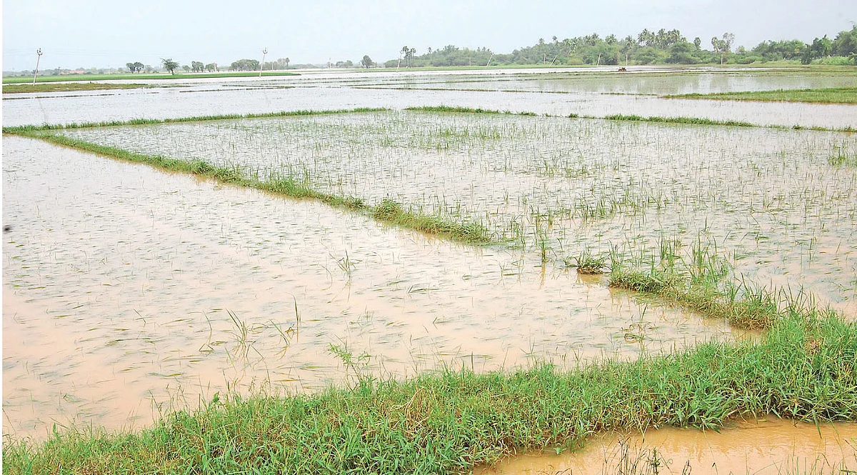சட்டம்