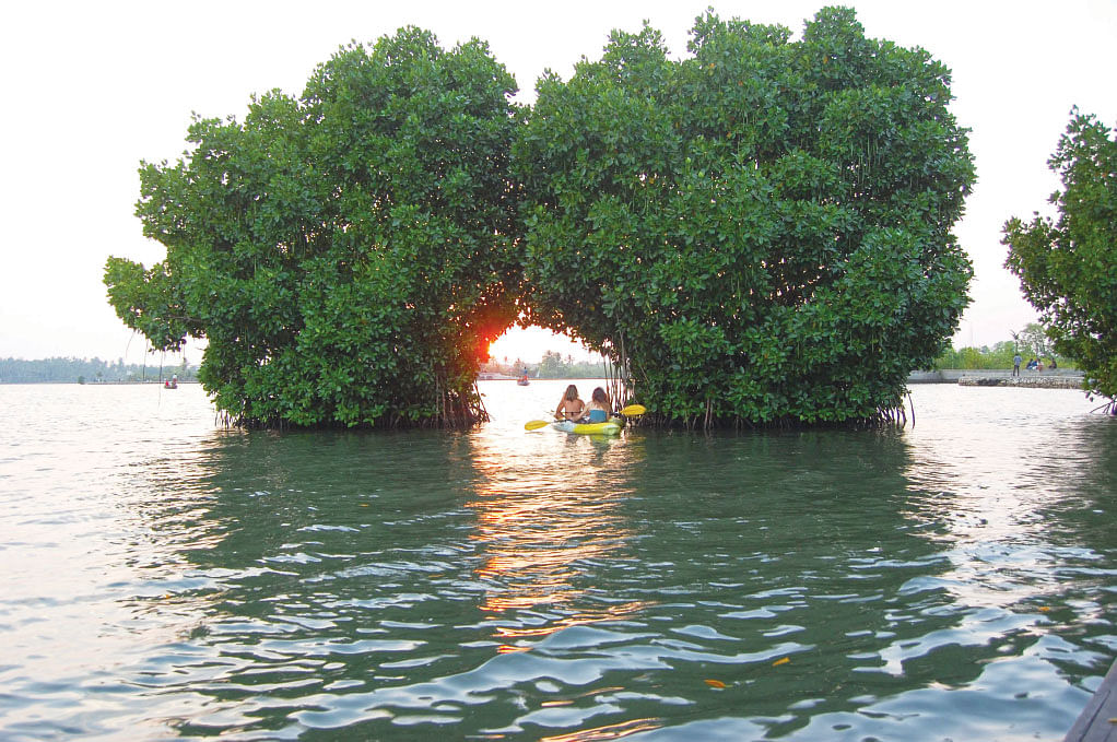 சுற்றுலா