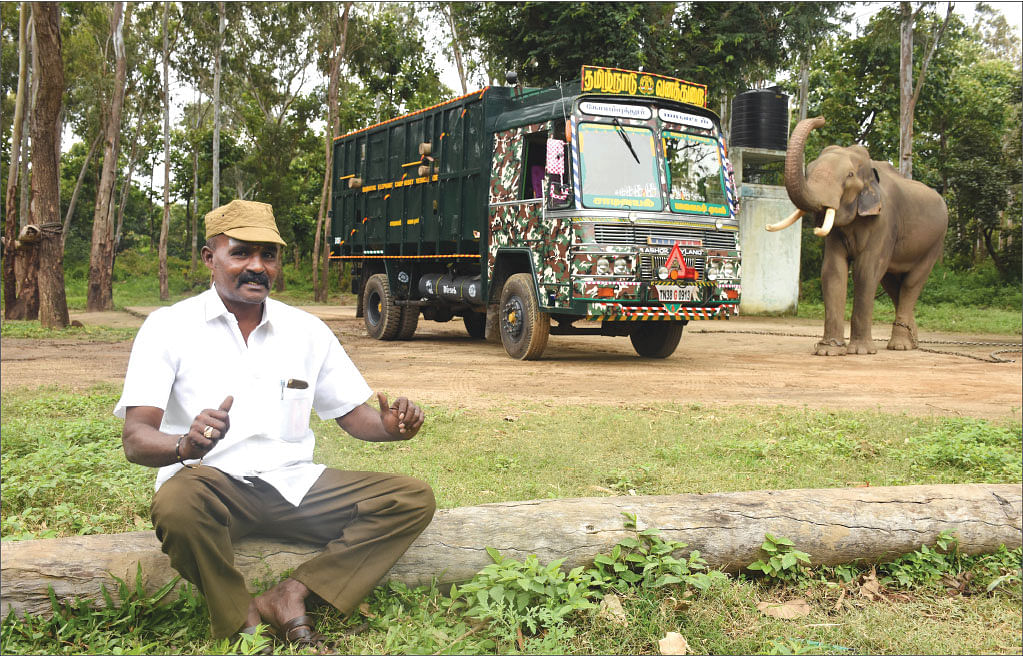 ஆறுச்சாமி, யானை