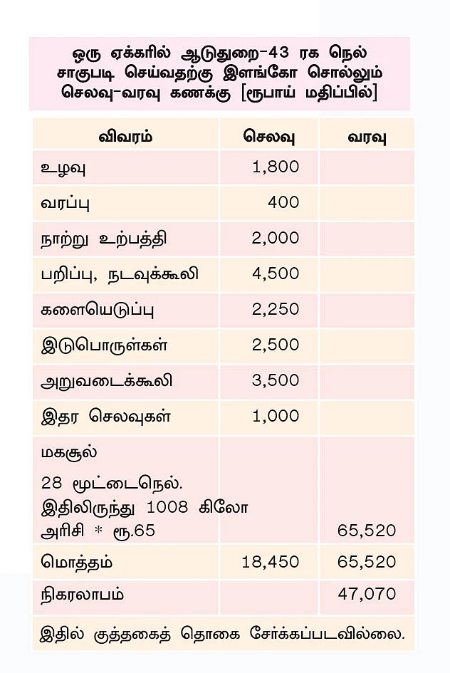 8 ஏக்கர் 3,75,000 ரூபாய்... நவீன நெல் ரகங்களையும் மதிப்புக்கூட்டலாம்!