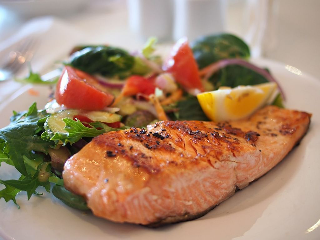 Salmon fish