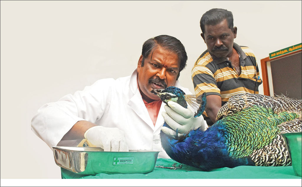இவர் ‘வேற லெவல்’ டாக்டர்!