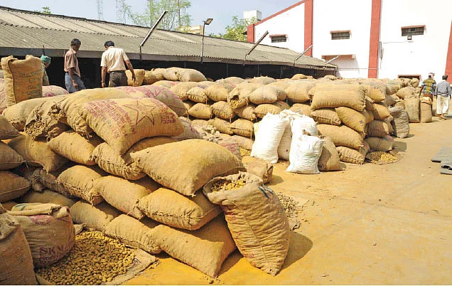 7 ஆண்டுகளாக உயராத மஞ்சள் விலை! - மாற்றுப் பயிர் நாடும் விவசாயிகள்!