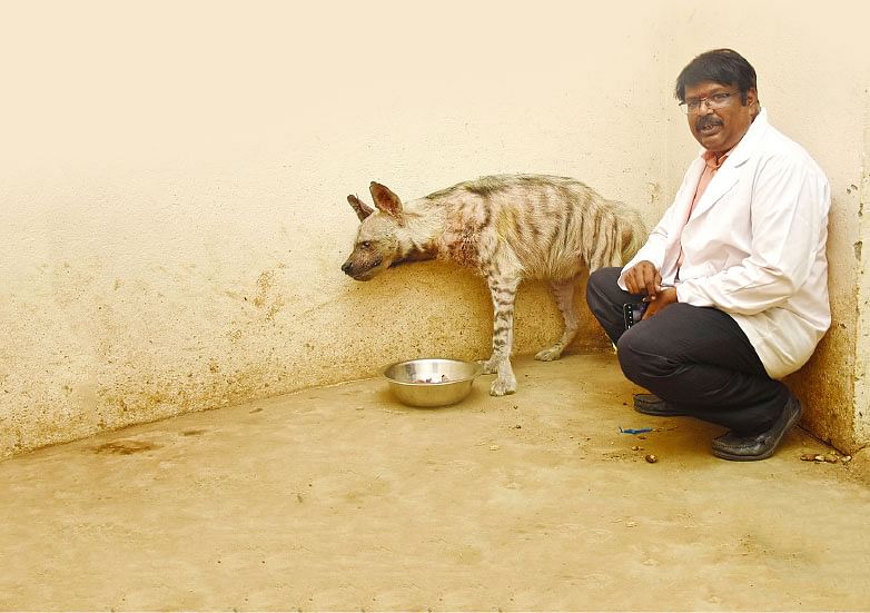 இவர் ‘வேற லெவல்’ டாக்டர்!