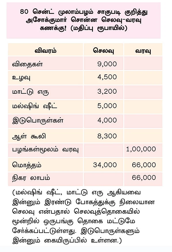 70 நாள்கள், 80 சென்ட், ரூ.1 லட்சம்... முத்தான வருமானம் கொடுக்கும் முலாம்பழம்!