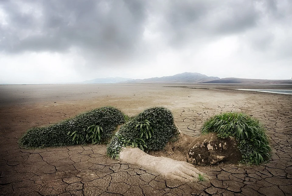 Environmental degradation